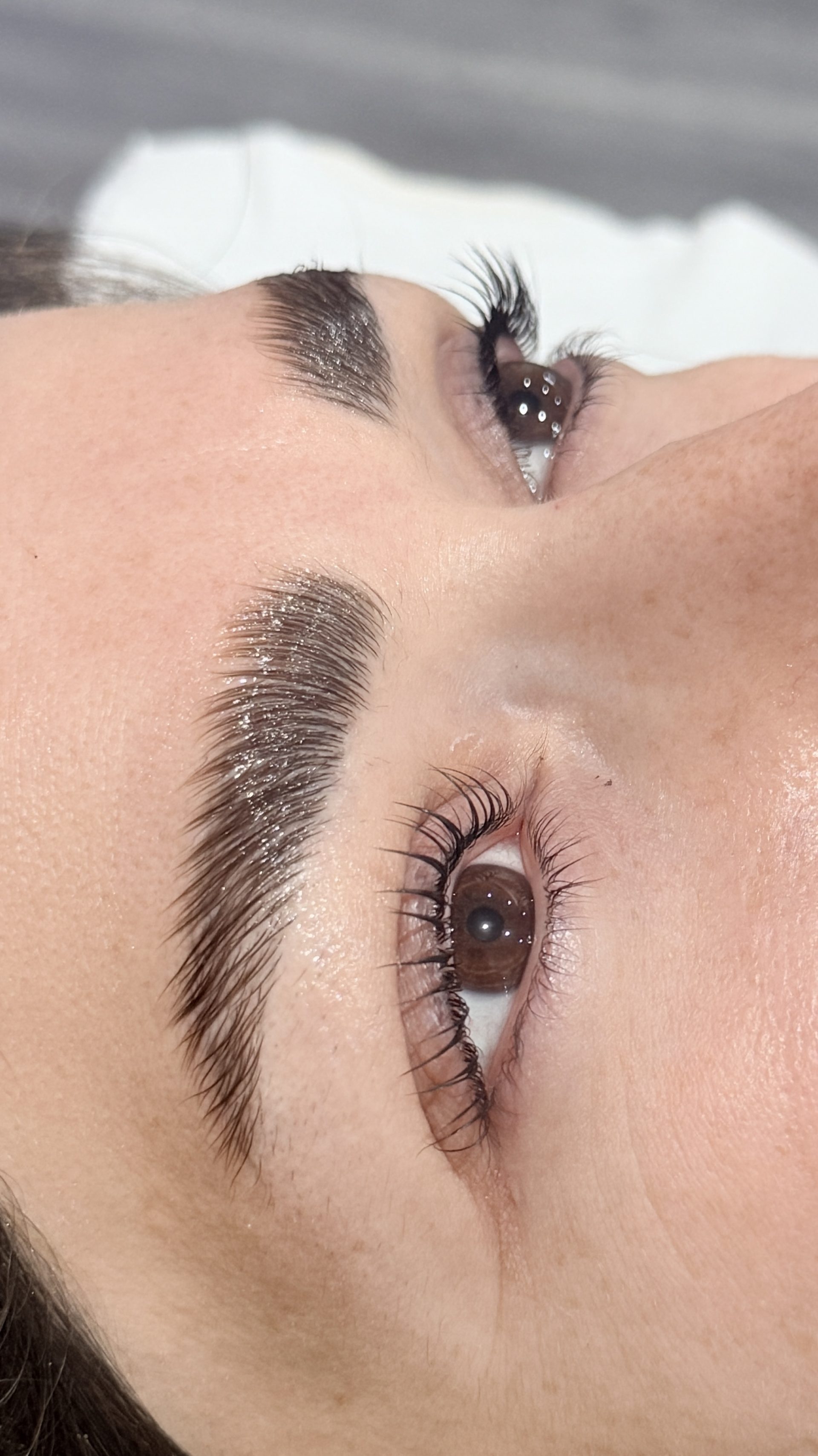 Close-up of eyes and eyebrows
